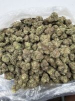 POISON GUMMI(405) $800 CANDY 8 - Image 3
