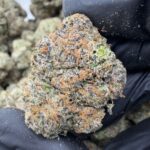 POISON GUMMI(405) $800 CANDY 8