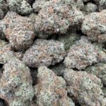 BUBBLEGUM(417) $775 CANDY 7.5