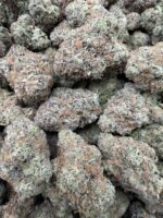 BUBBLEGUM(417) $775 CANDY 7.5