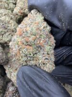 RAINBOW HEART(410) $800 CANDY 8