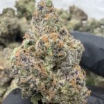 BLUE NERDZ(450) $1000 🍬🍭9️⃣