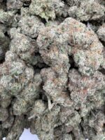 GELATO(459) $750 🍬🍭7️⃣ - Image 2