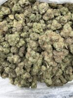 GELATO(459) $750 🍬🍭7️⃣ - Image 3