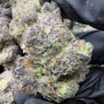 LCG(467) $775 🍬🍭8️⃣