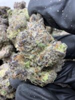 LCG(467) $775 🍬🍭8️⃣