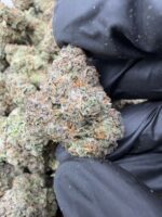 LEMONADE(466) $750 🍬🍭7️⃣.5️⃣
