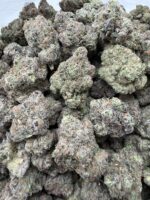 LIME GUSHER(455) $800🍬🍭8️⃣.5️⃣ - Image 2