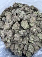 LIME GUSHER(455) $800🍬🍭8️⃣.5️⃣ - Image 3