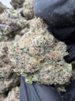 LIME GUSHER(455) $800🍬🍭8️⃣.5️⃣