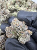 CHERRY SUSHIMI(456) $800🍬🍭8️⃣.5️⃣