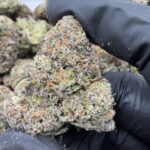 CHERRY TART(481) $750 🍬🍭8️⃣