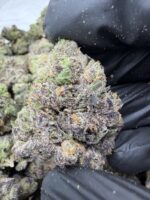 MOCHI(470) $775 🍬🍭8️⃣