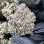 LIME SODA(480) $800 🍬🍭8️⃣.5️⃣