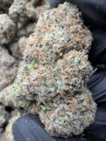PURPLE GUAVA(491) $750 🍬🍭7️⃣.5️⃣